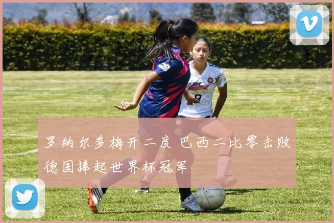 罗纳尔多梅开二度 巴西二比零击败德国捧起世界杯冠军