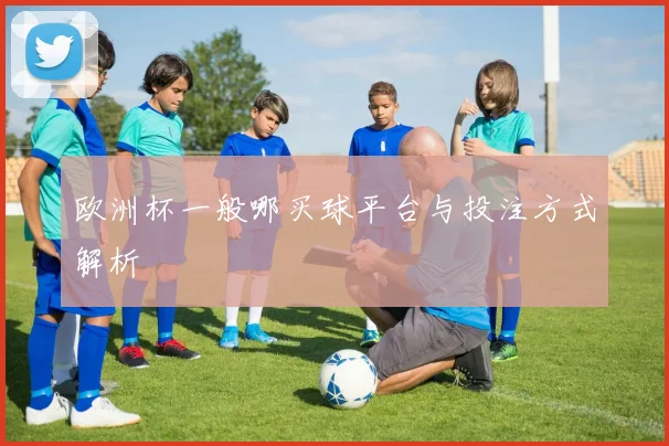 欧洲杯一般哪买球平台与投注方式解析