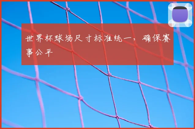 世界杯球场尺寸标准统一，确保赛事公平